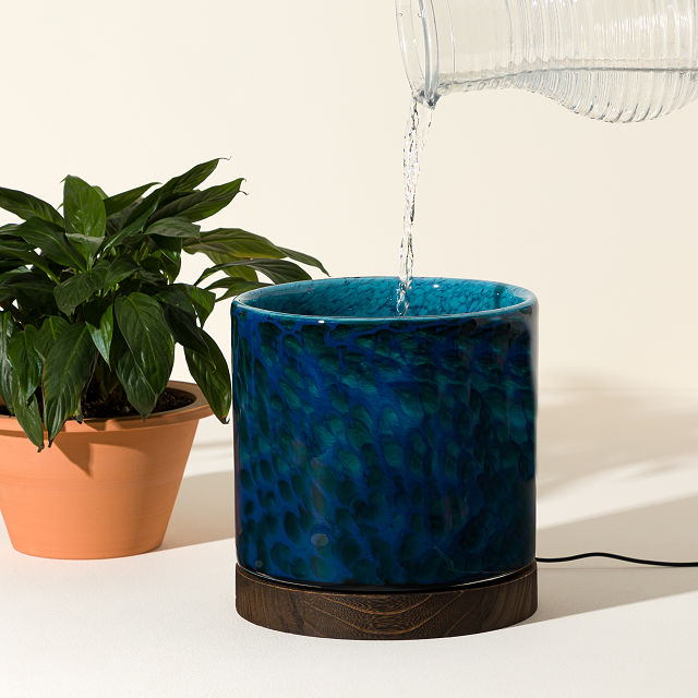Self-Watering Lamp Planter