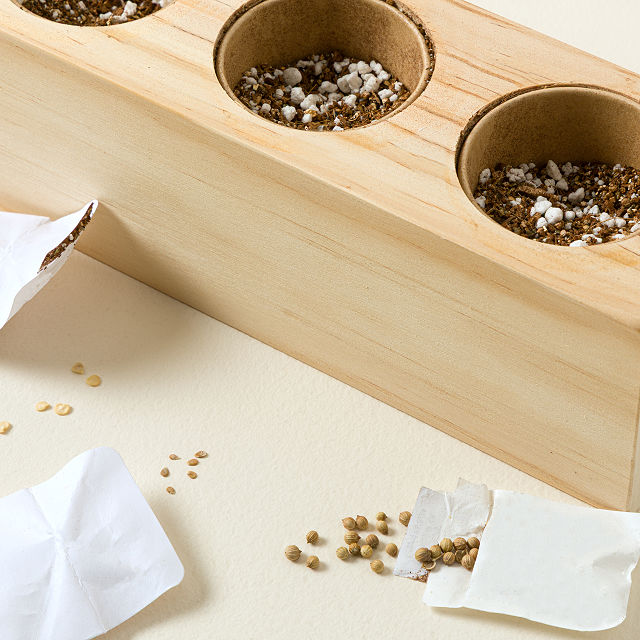 Salsa Herb Garden Starter Grow Kit