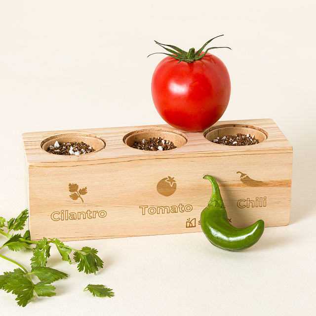 Salsa Herb Garden Starter Grow Kit