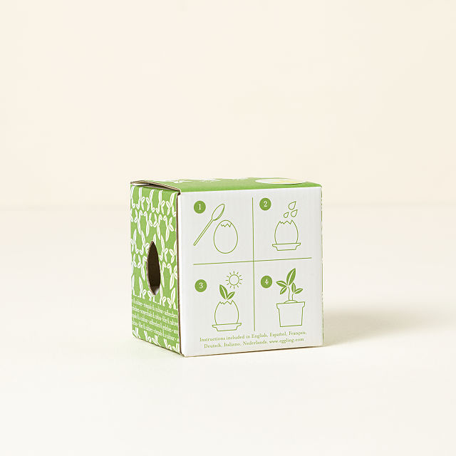 Eggling Crack & Grow Herb Kit