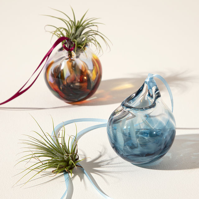 Bubble Vase Air Planter