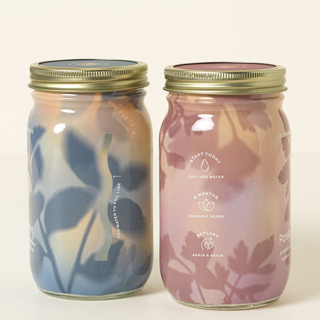 Mason Jar Indoor Herb Garden