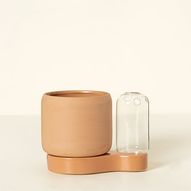 Self-Watering Planter & Propagation Station