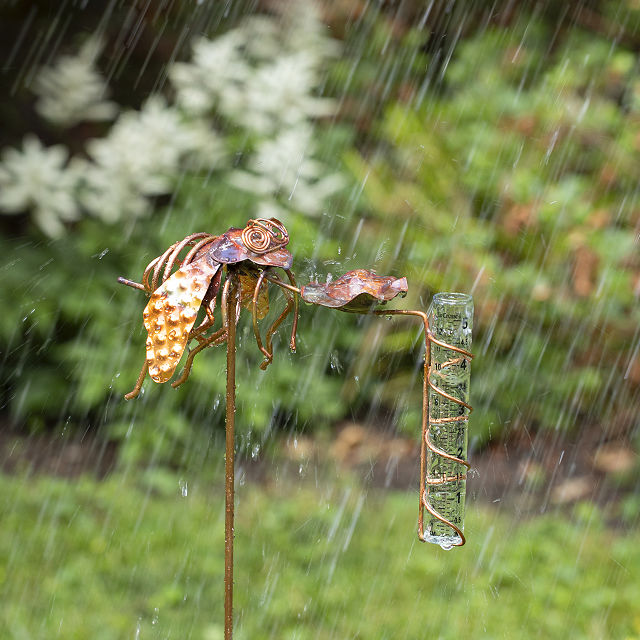 Bee Rain Gauge with Bee Drinking Cup