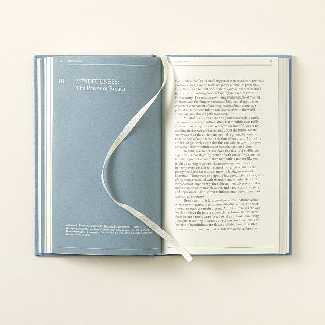 Guided Anti-Anxiety Journal to Reframe & Reset