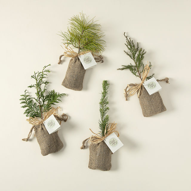 Plant with Love Memorial Tree