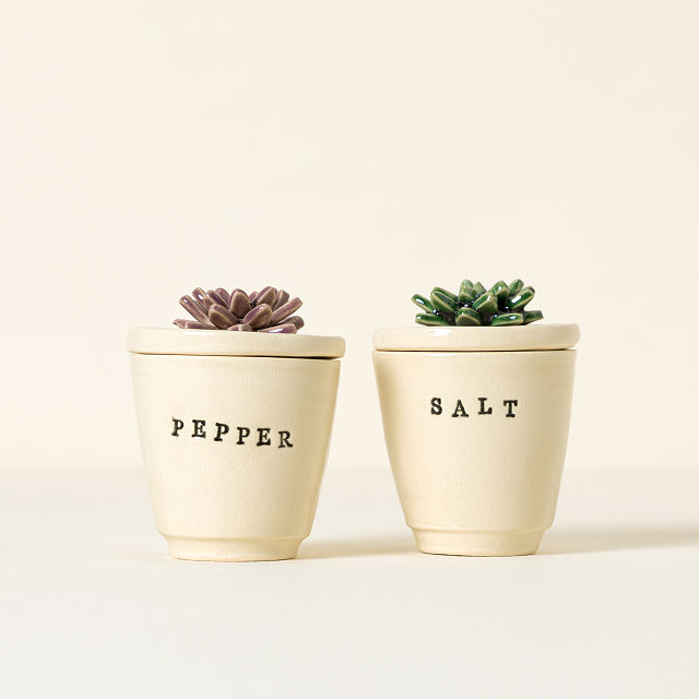 Succulent Salt & Pepper Pots