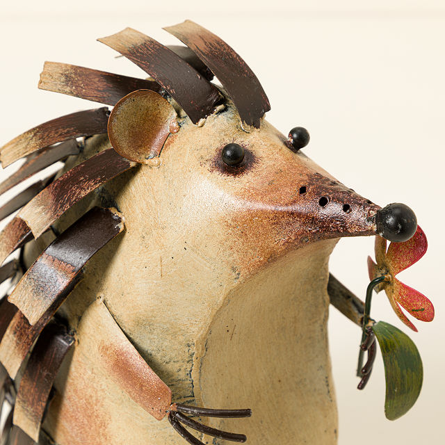 Harold The Hedgehog Watering Can