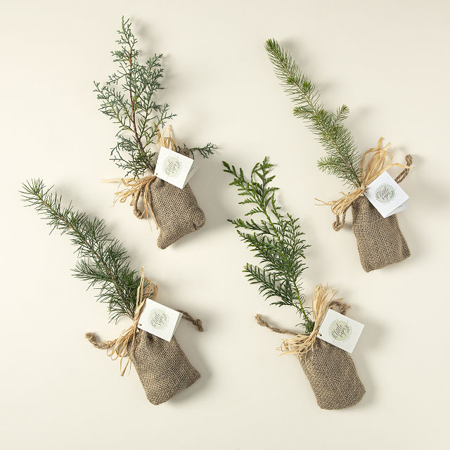 Plant with Love Memorial Tree