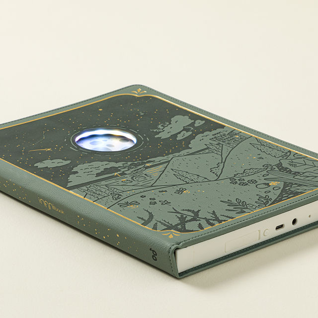 Infinibook Recordable Storybook