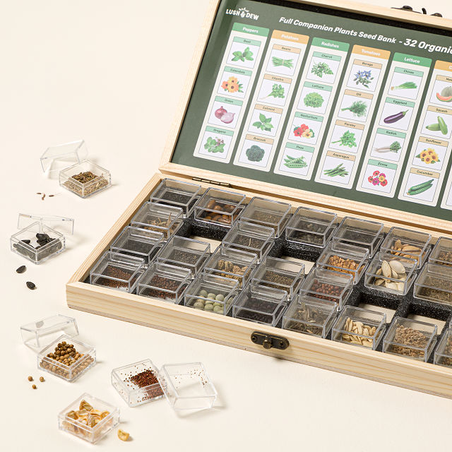 Companion Planting Made Easy Seed Bank Set