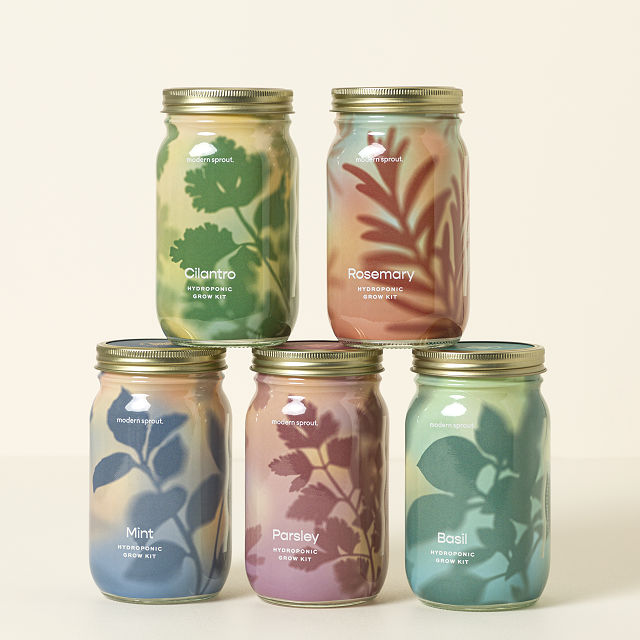 Mason Jar Indoor Herb Garden