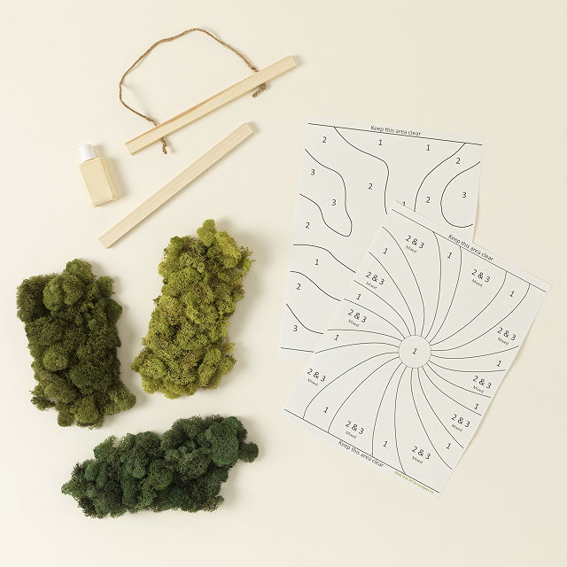 Moss Art by Numbers