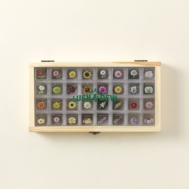 Endless Bouquets Gardener's Seed Bank Set