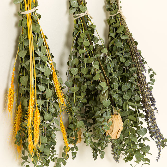 Eucalyptus, Lavender & Rose Shower Spa Bundle