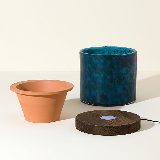 Self-Watering Lamp Planter