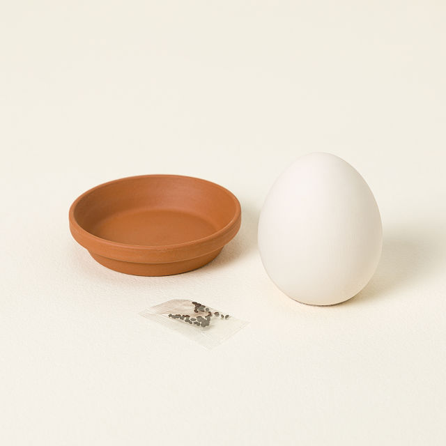 Eggling Crack & Grow Herb Kit