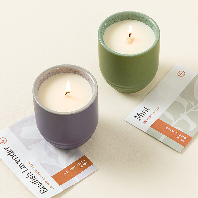 Flame to Flora Seed Kit Candle