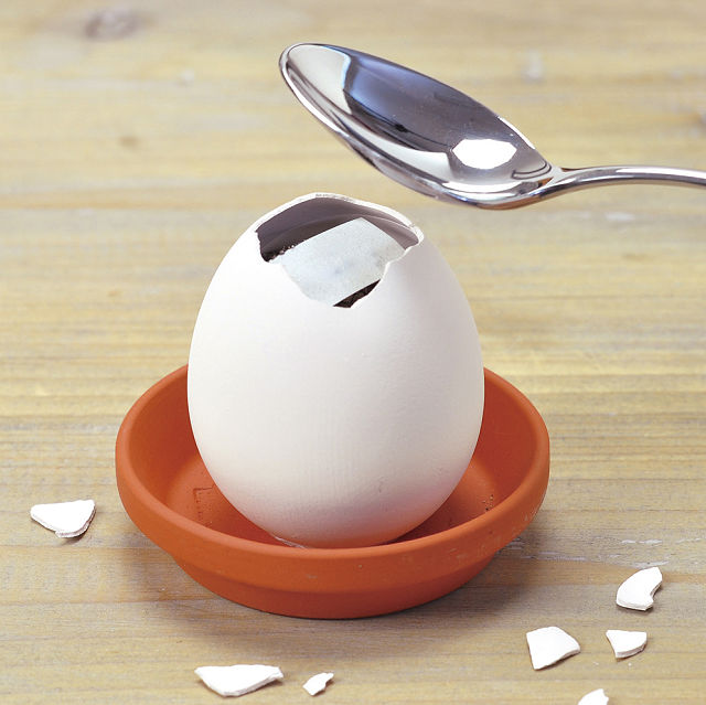 Eggling Crack & Grow Herb Kit