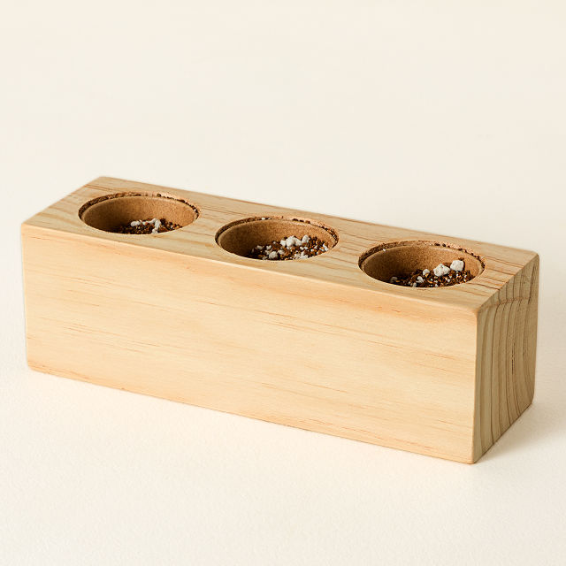 Salsa Herb Garden Starter Grow Kit