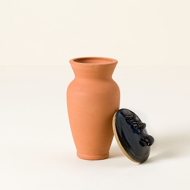 Self-Watering Terracotta Olla