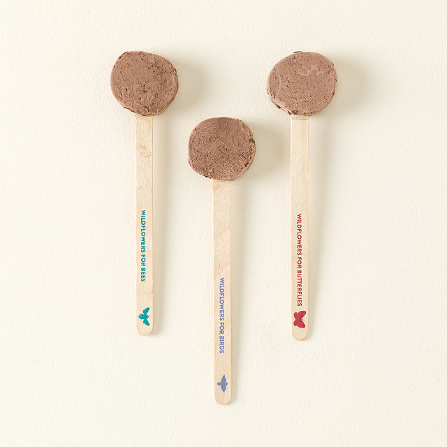 Pollinator Seed Pops (Set of 3)