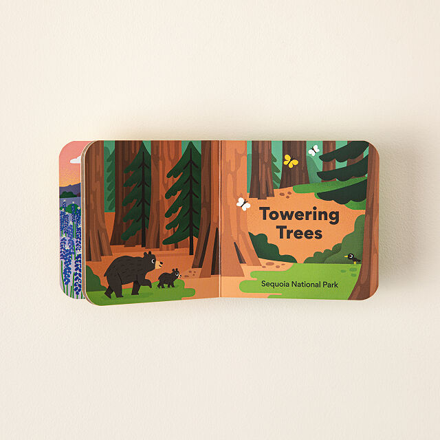 Little Park Ranger Baby Board Book Set