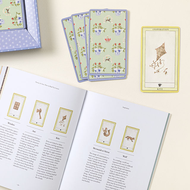 A Spot of Divination Tea Leaf Reading Set