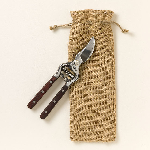 Thai Kitchen Garden Shears