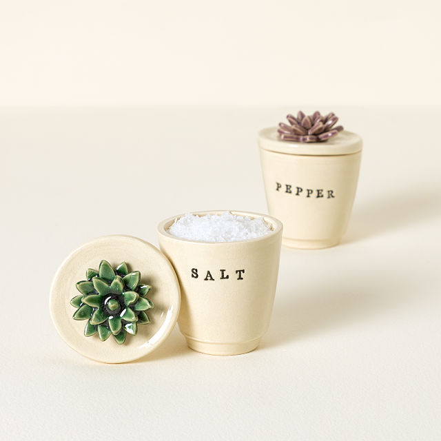 Succulent Salt & Pepper Pots