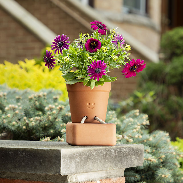 Self-Care Planter