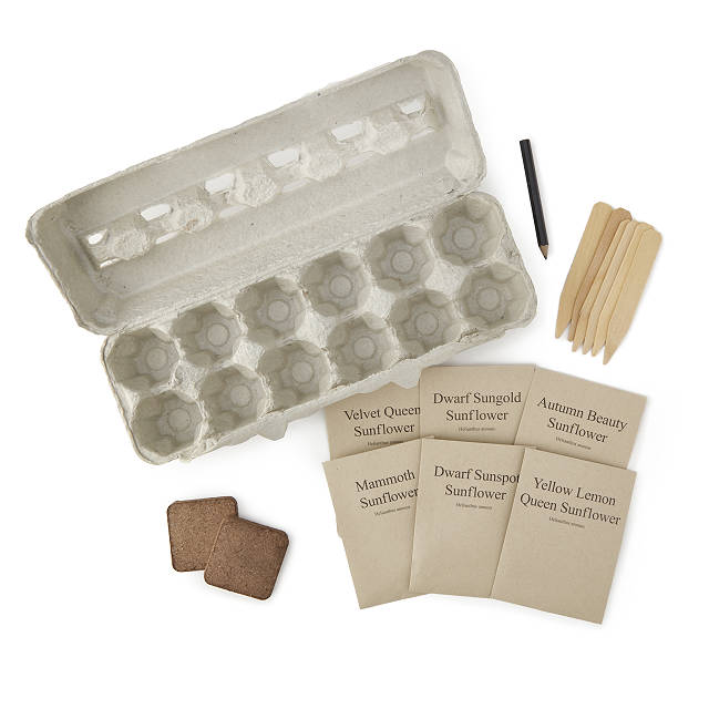 Sunflower Garden Grow Kit