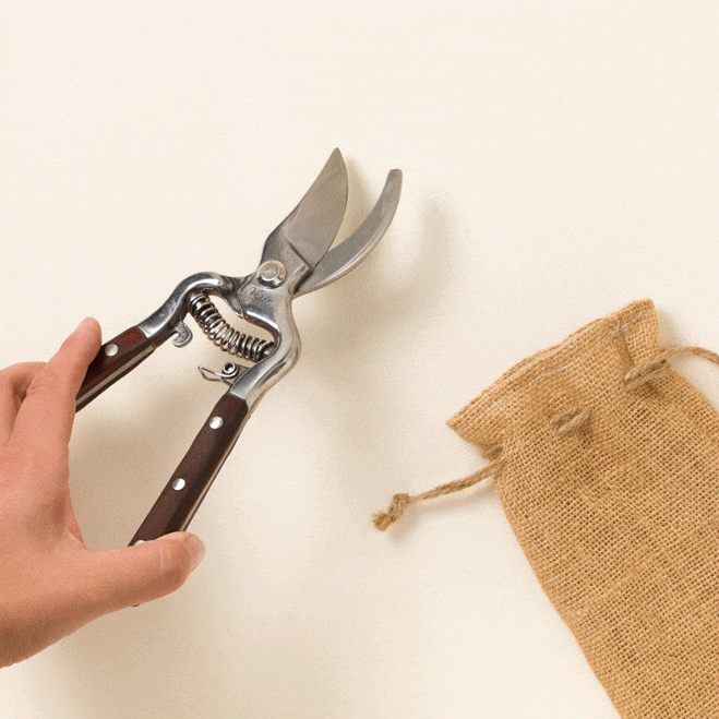 Thai Kitchen Garden Shears