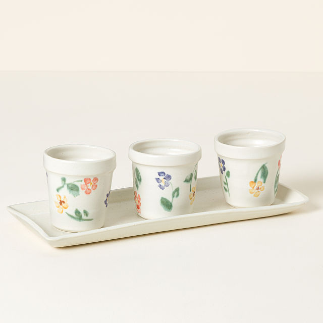 Ceramic Windowsill Herb Garden