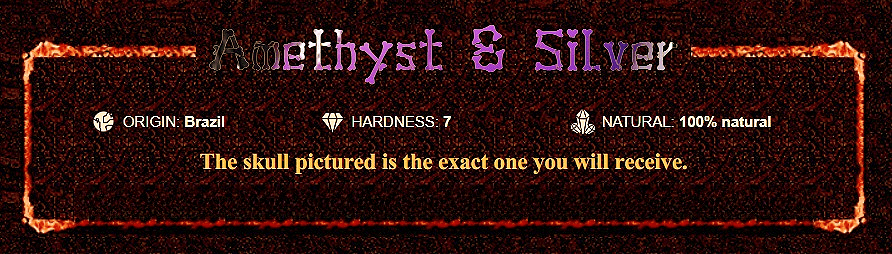 ✨ Sparkling Amethyst & Silver Crystal Skull Necklace with Ruby Eyes – Perfect Gift for Holidays & Special Occasions! 💎