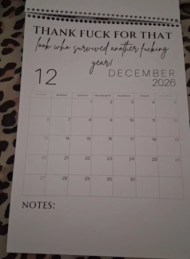 ๐ Fuck It 2026 Spiral Bound Wall Calendar โ Perfect Gift for Holidays & Special Occasions! ๐