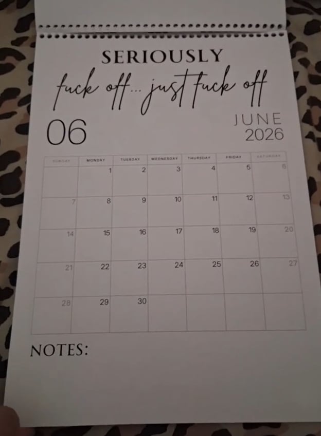 ๐ Fuck It 2026 Spiral Bound Wall Calendar โ Perfect Gift for Holidays & Special Occasions! ๐