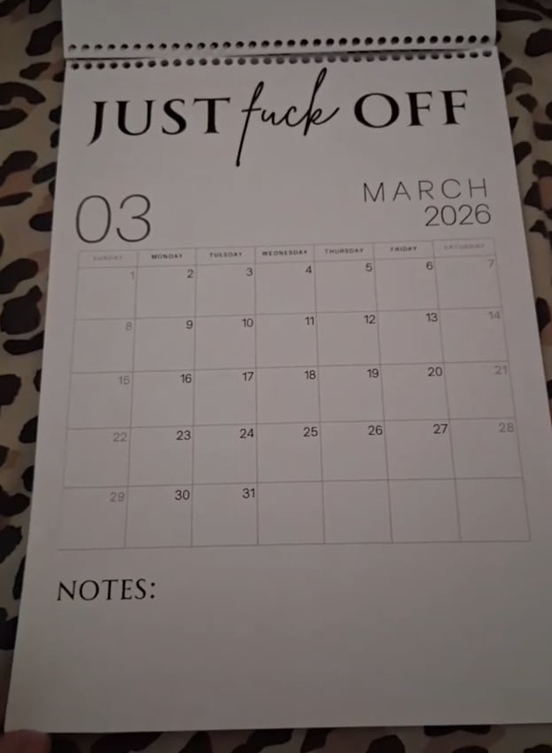 ๐ Fuck It 2026 Spiral Bound Wall Calendar โ Perfect Gift for Holidays & Special Occasions! ๐