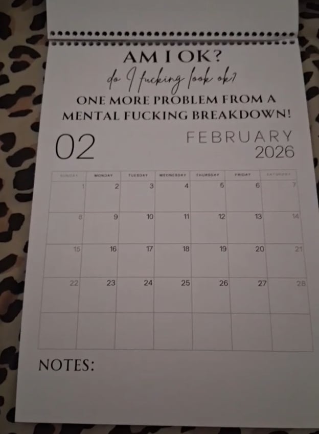 ๐ Fuck It 2026 Spiral Bound Wall Calendar โ Perfect Gift for Holidays & Special Occasions! ๐