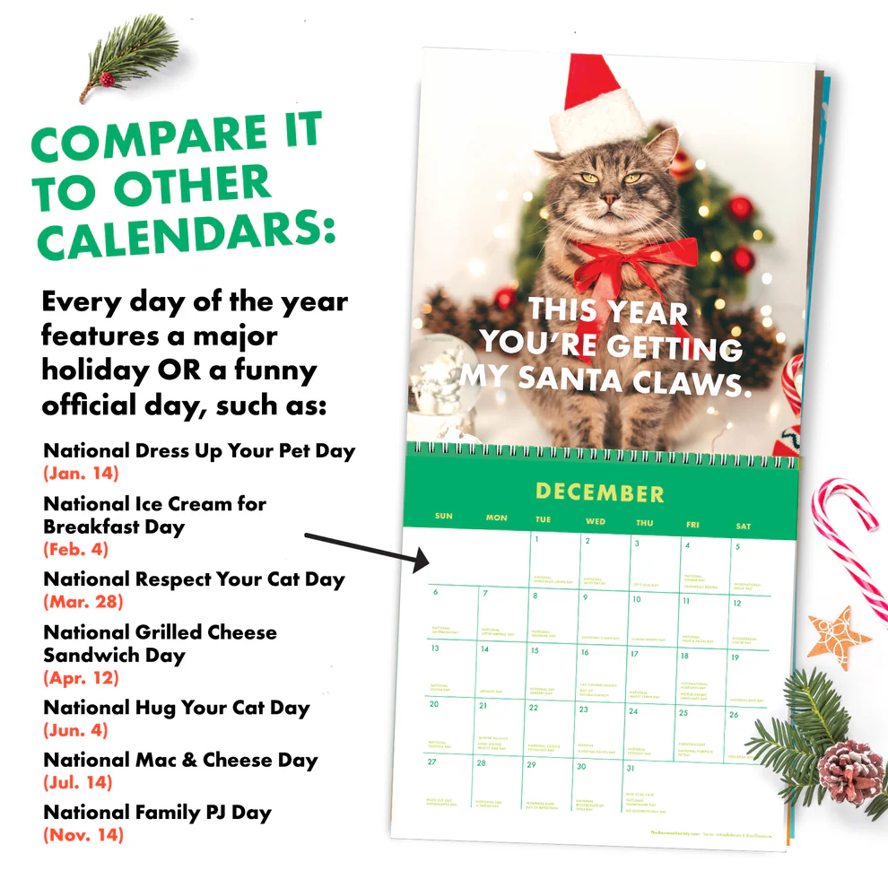 ๐ 2026 Pissed-off Cats Calendar โ Purrfect Gift for Holidays & Special Occasions! ๐ธ