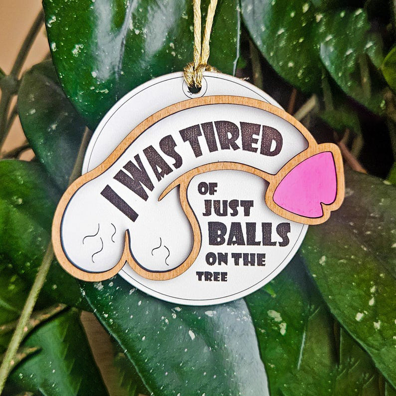 ๐๐ Hilarious Christmas Tree Ornament โ Perfect Gift for Holidays & Special Occasions โ