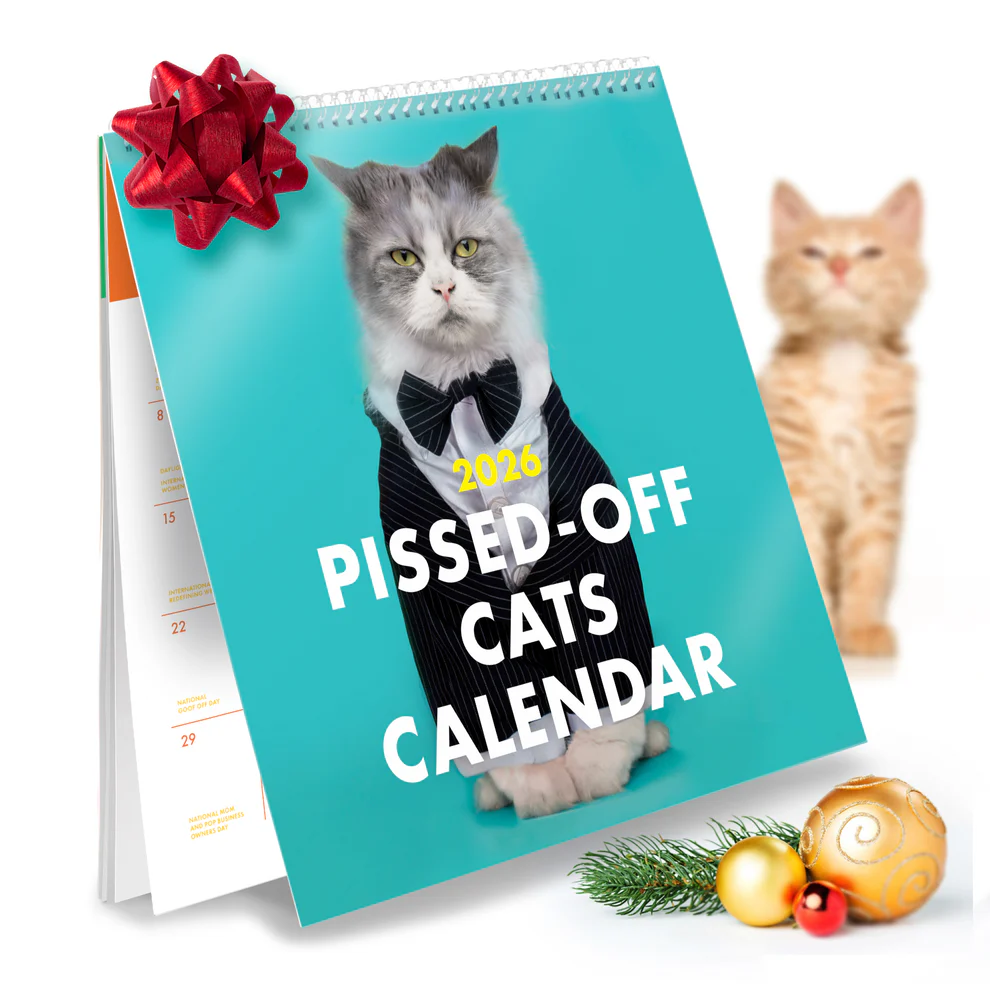 ๐ 2026 Pissed-off Cats Calendar โ Purrfect Gift for Holidays & Special Occasions! ๐ธ