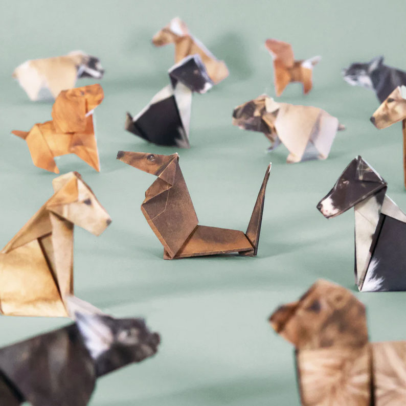 DIY Paper Cats Craft Kit 🎁🐱 – Perfect Holiday & Special Occasion Gift!
