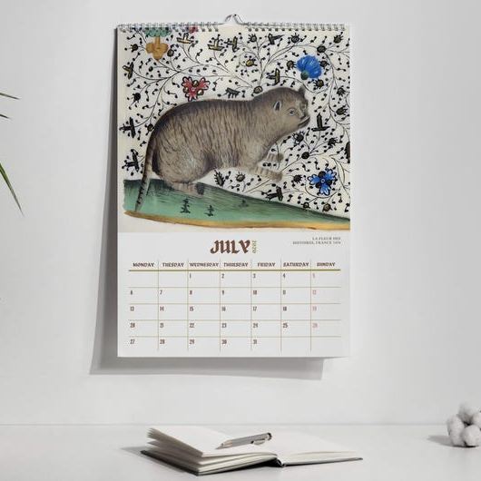 Ugly Medieval Cats 2026 Wall Calendar 🎁📅 – Perfect Holiday & Special Occasion Gift!