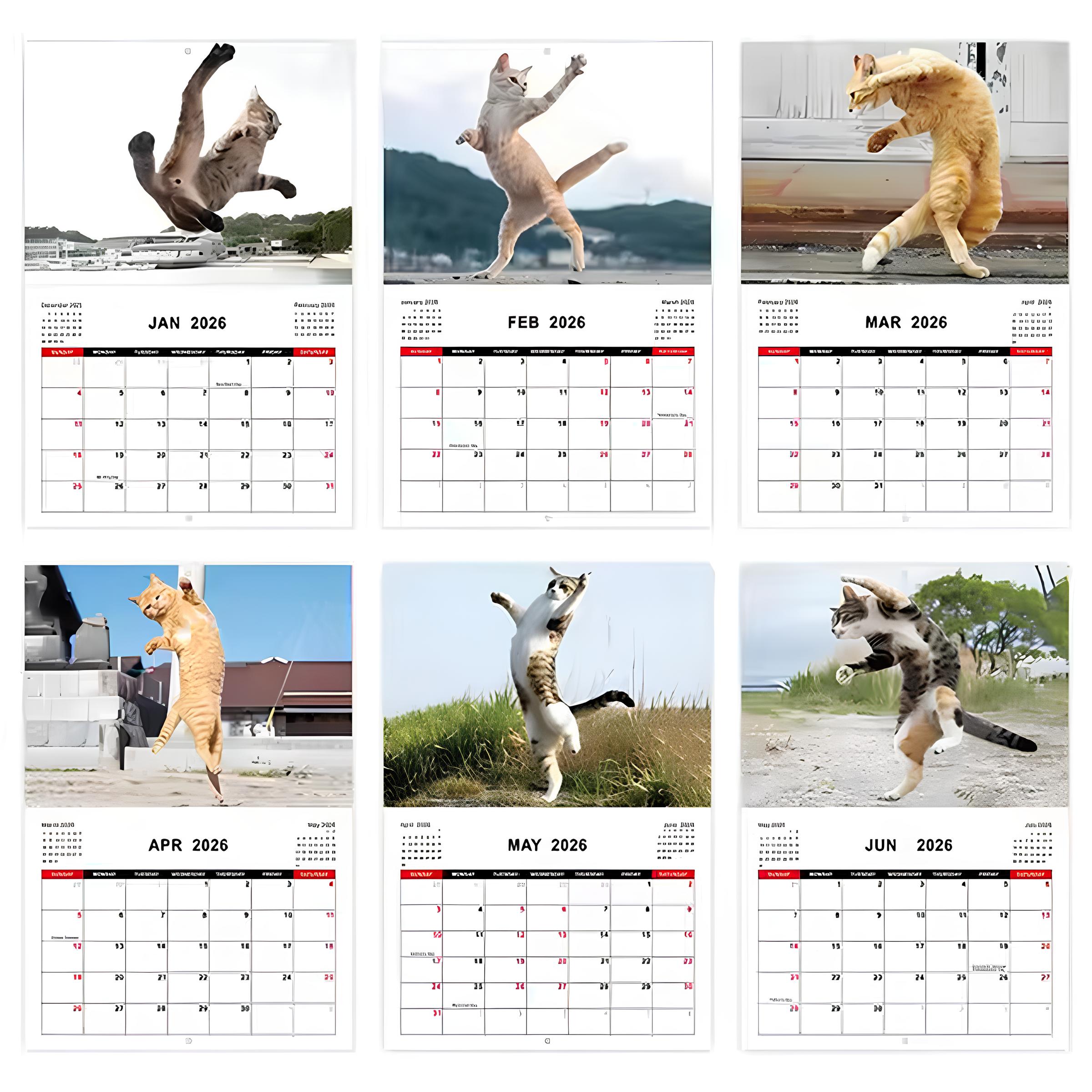 🎁 2026 Kung Fu Cat Calendar - Perfect Gift for Holidays & Special Occasions! 🐱
