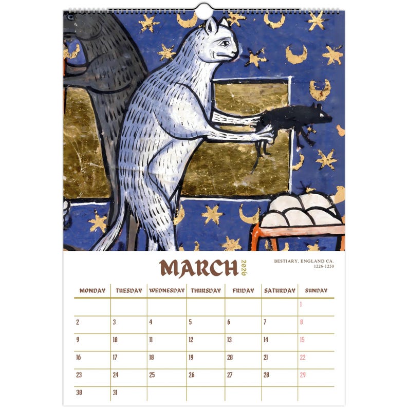 Ugly Medieval Cats 2026 Wall Calendar 🎁📅 – Perfect Holiday & Special Occasion Gift!