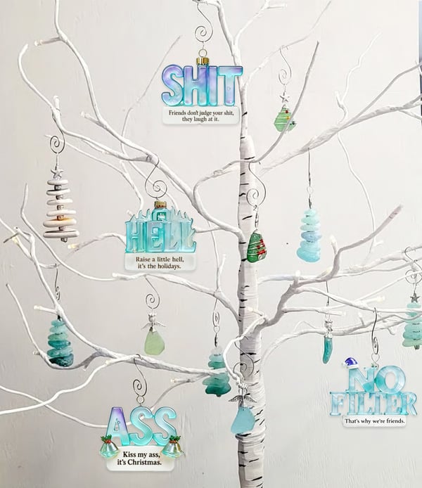 ✨Sea Glass Accents 2025 Adult Humor Advent Calendar – Perfect Holiday Gift! 🎁