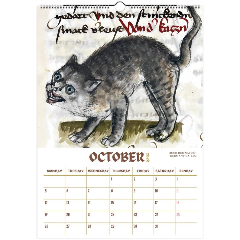 Ugly Medieval Cats 2026 Wall Calendar 🎁📅 – Perfect Holiday & Special Occasion Gift!