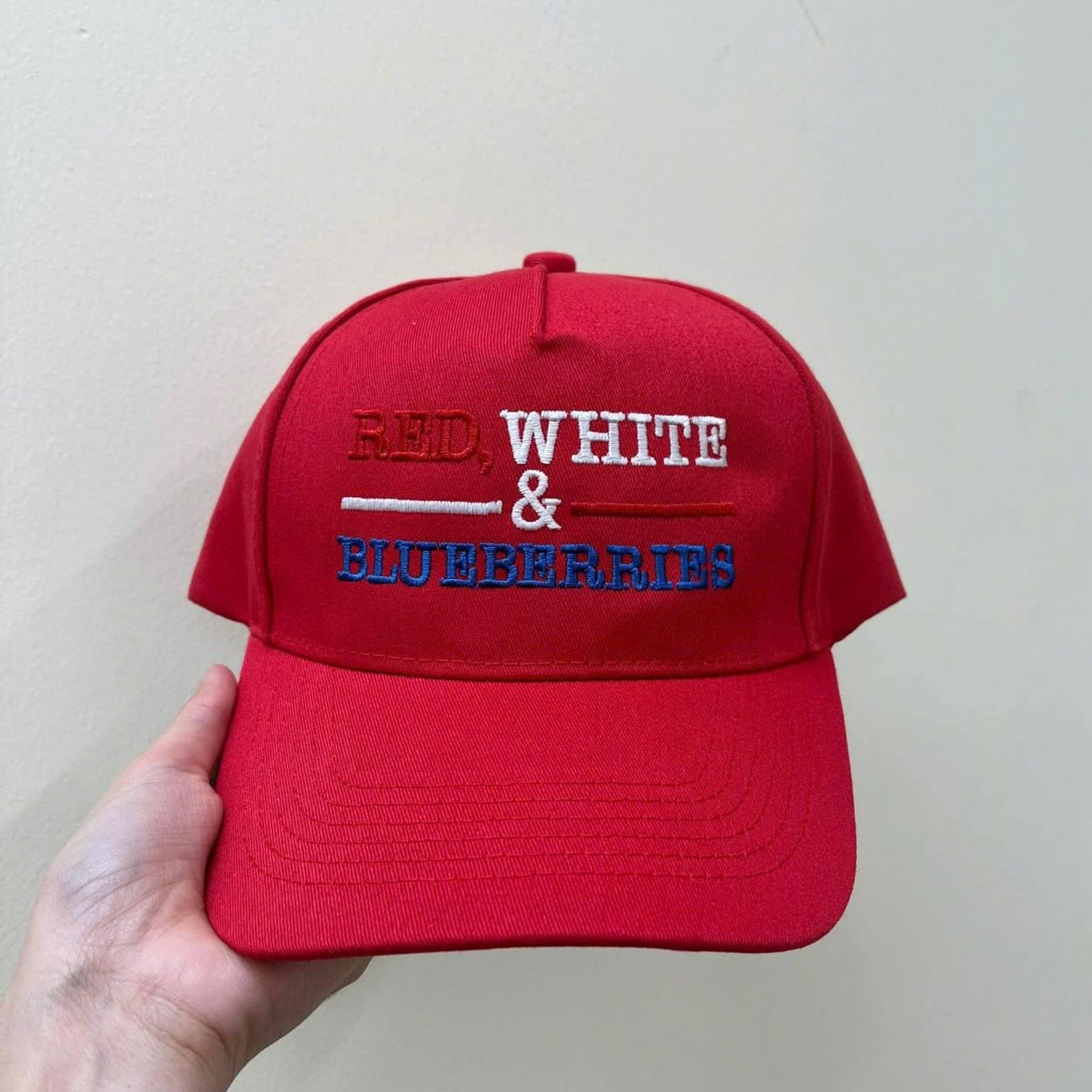 🇺🇸🎁 Embroidered Red White & Blueberries Freedom Hat – Perfect Memorial Gift for Holidays & Special Occasions – Honor Family & Country