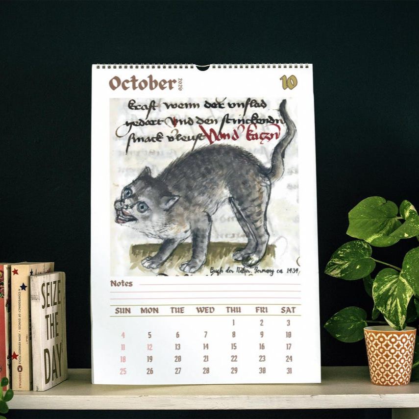 Ugly Medieval Cats 2026 Wall Calendar